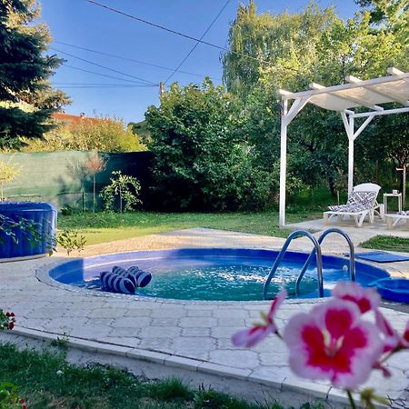 White House With Sauna And Jacuzzi Novi Sad Extérieur photo