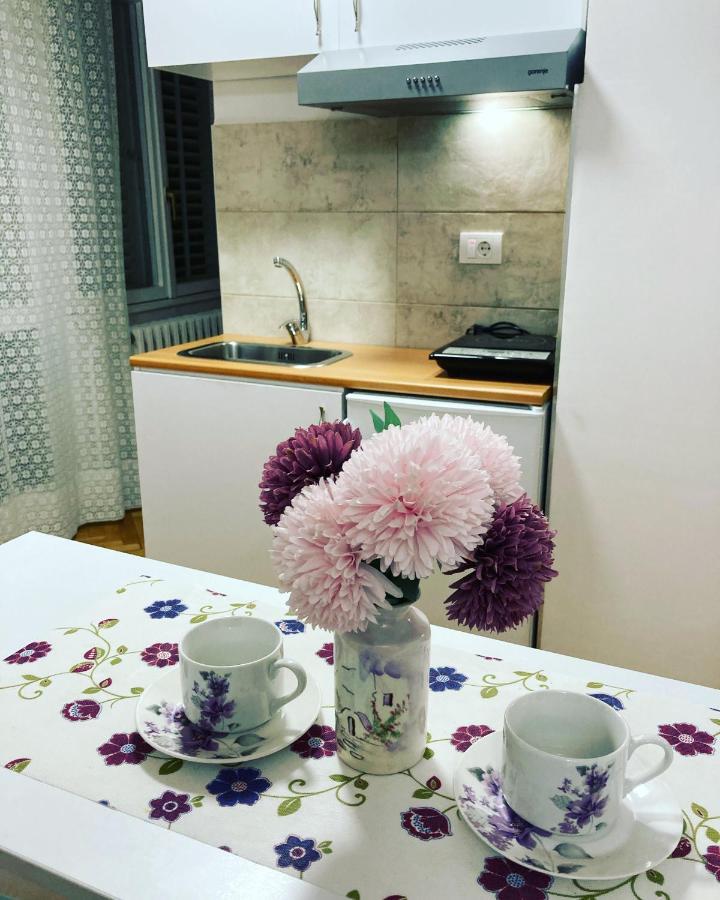 White House With Sauna And Jacuzzi Novi Sad Extérieur photo