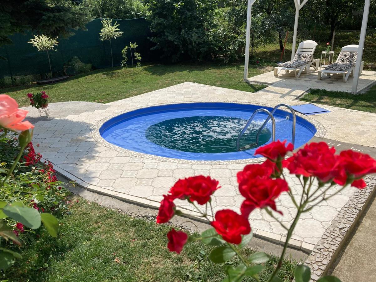 White House With Sauna And Jacuzzi Novi Sad Extérieur photo