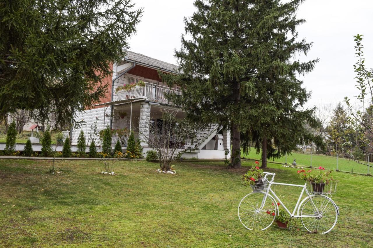 White House With Sauna And Jacuzzi Novi Sad Extérieur photo