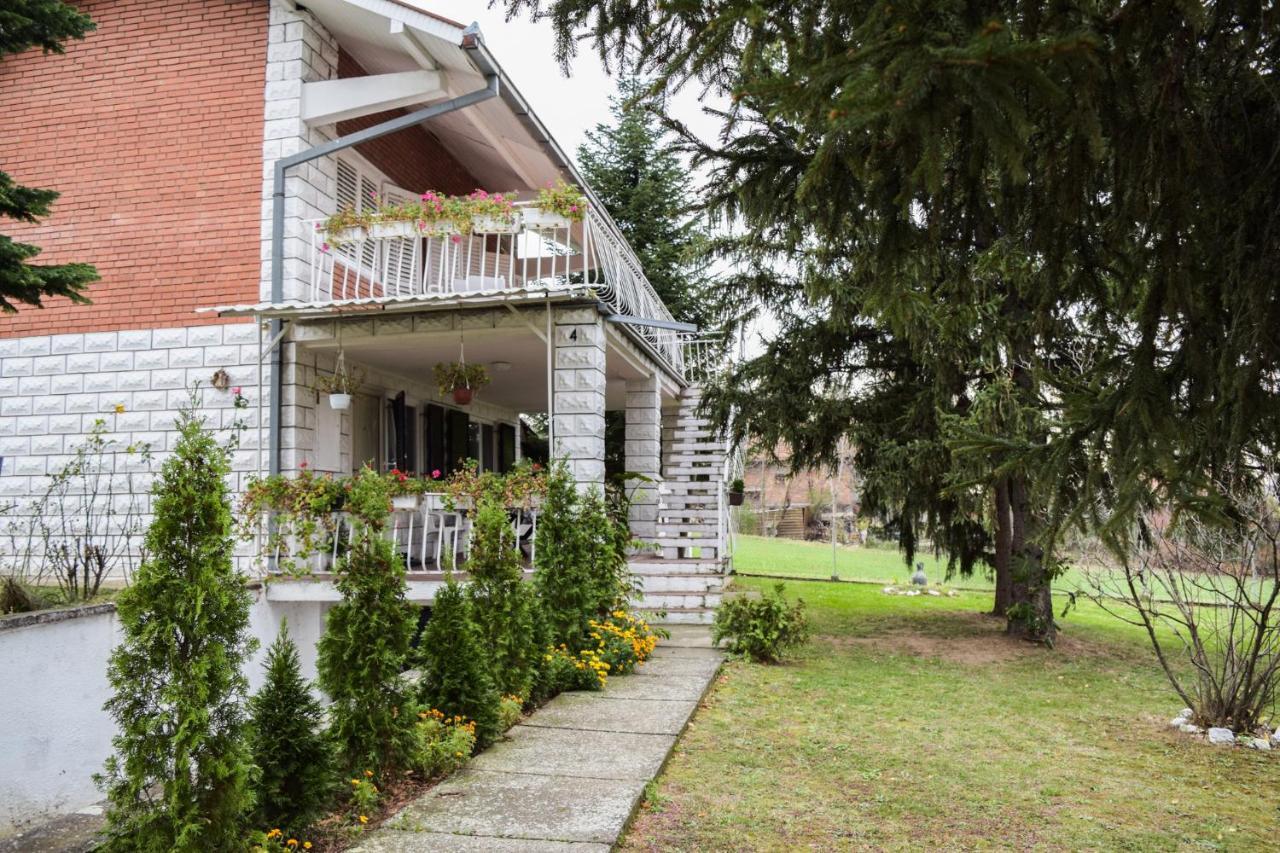 White House With Sauna And Jacuzzi Novi Sad Extérieur photo